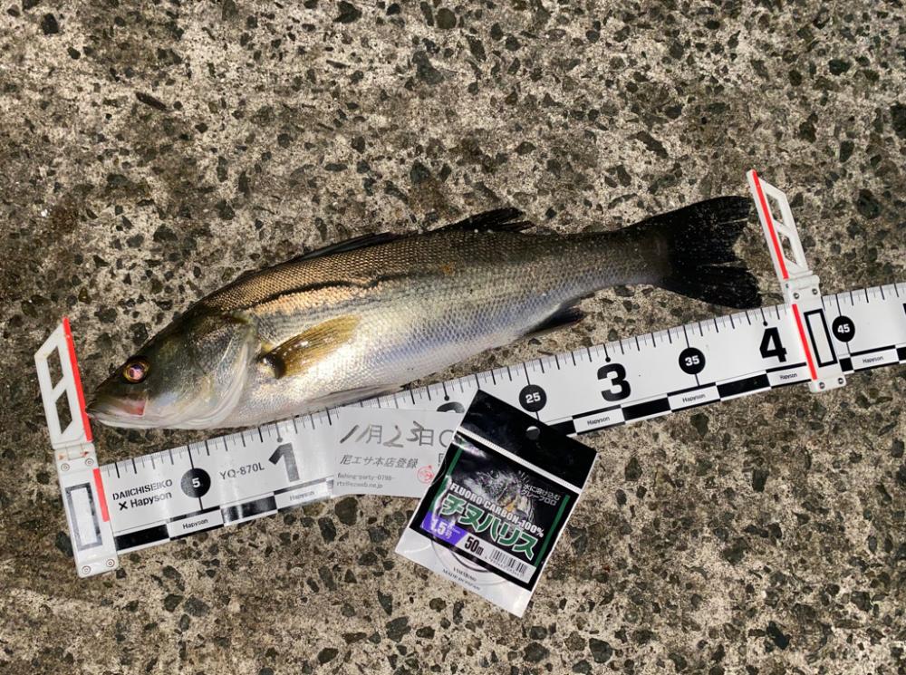 気温差が激しい日