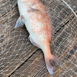 初めての釣り場