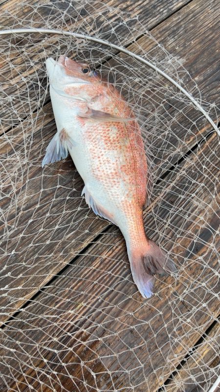 初めての釣り場