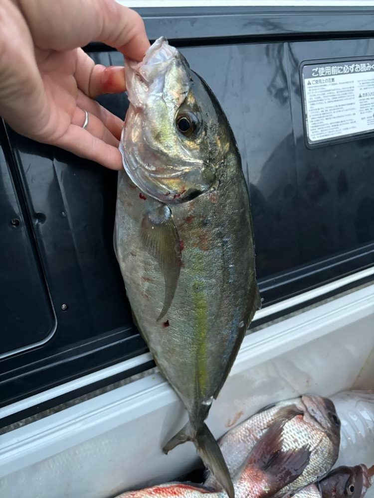 美浜フィッシングパーク