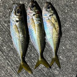 ホームアジング