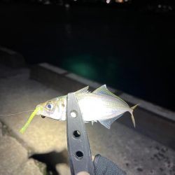 爆風アジング！！！