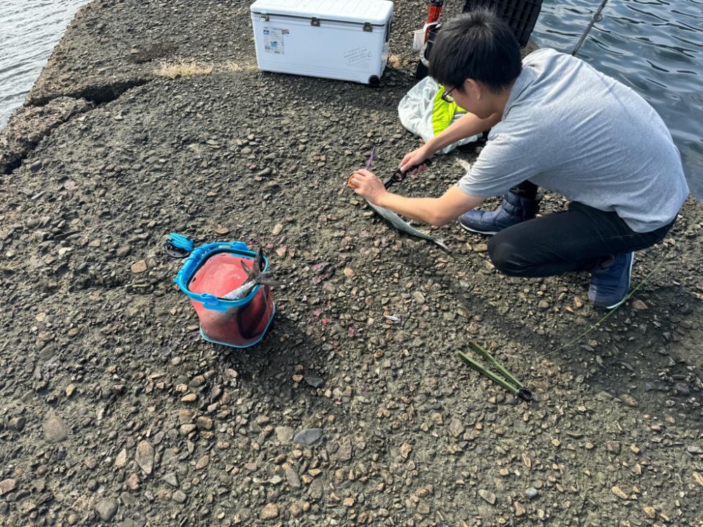 ショアジギ調査