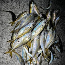 イージーアジング