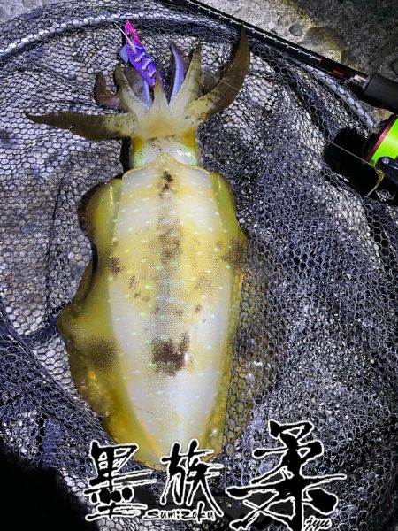 久しぶりのキロゲット