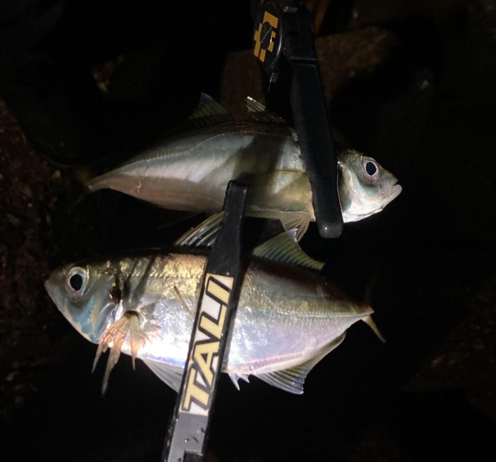 フロートアジング