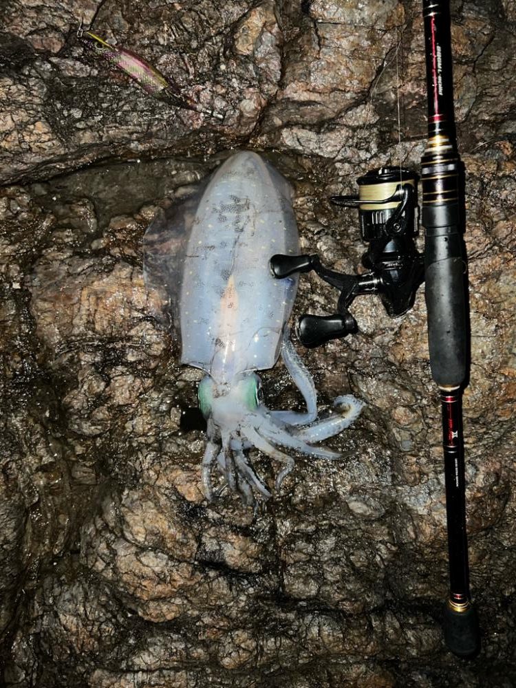 久しぶりのルーティン