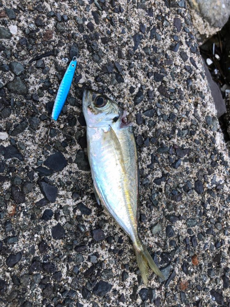 風裏のポイントで