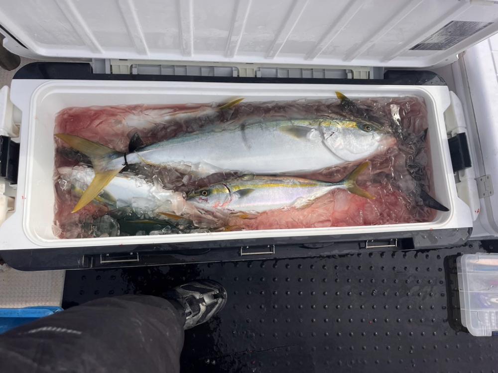 日本海近海ジギング