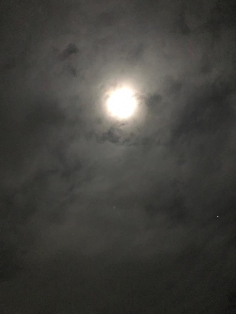 なめろうが食べたくて