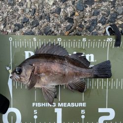 五目ライトゲーム