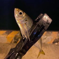 メバリング&ライトゲーム