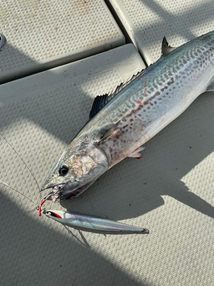 丹後沖ジギング