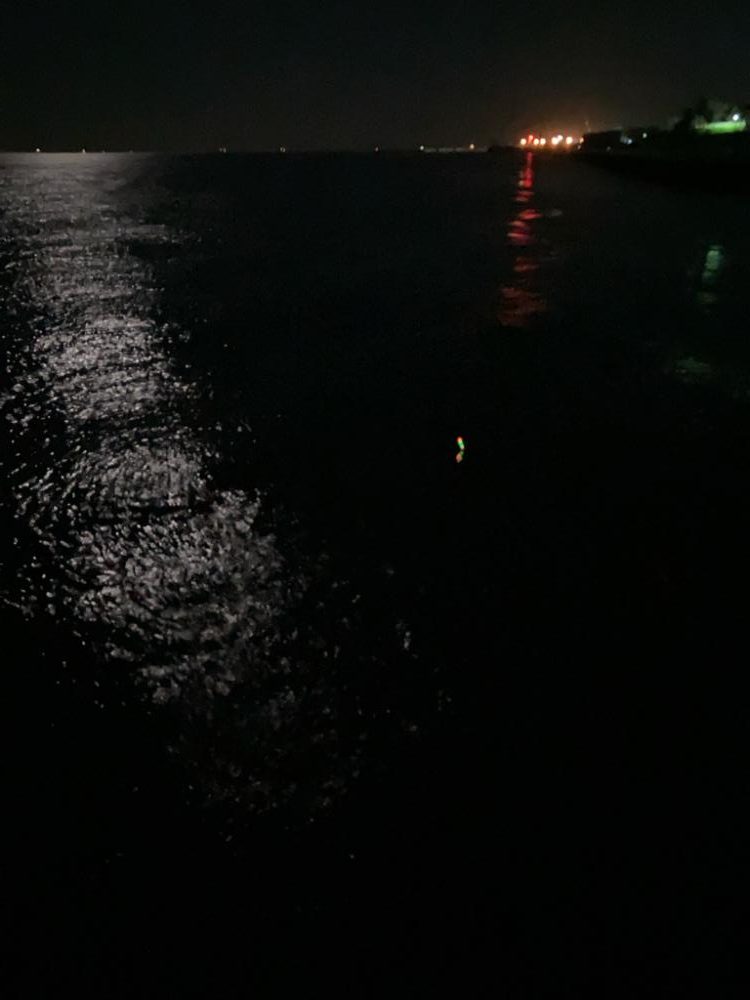 メバル(釣り神様からのご褒美^_^)