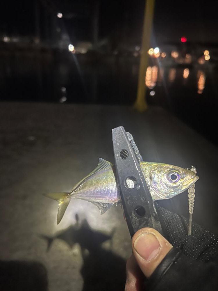 ワームメーカー縛りアジング