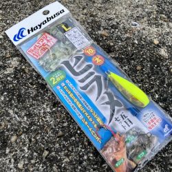 胴突き仕掛けでヒラメにゃ！