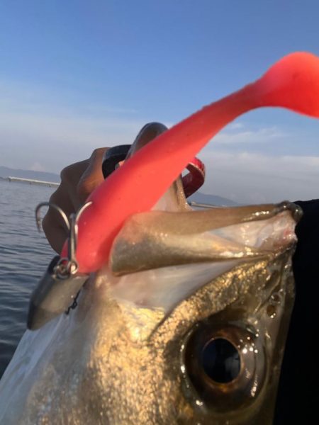 中海ボートシーバス