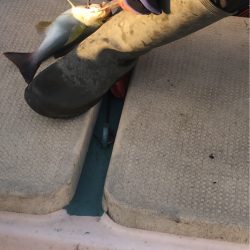 11/19 伊島沖ジギング