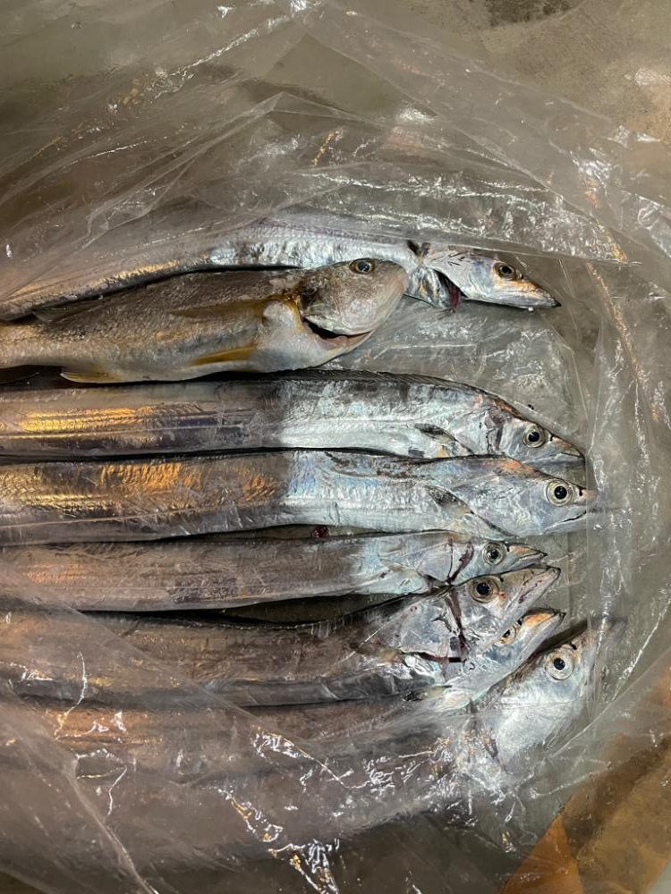 太刀魚船テンヤ