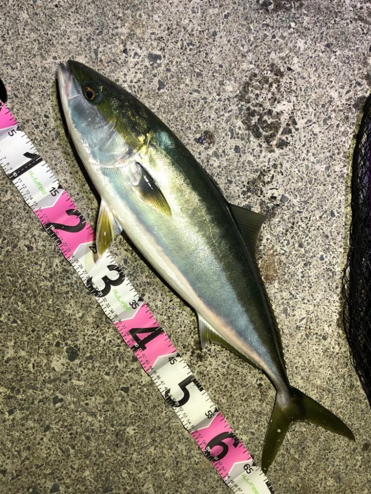 まさかの一本😆✨