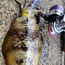 荒れあれアレ！