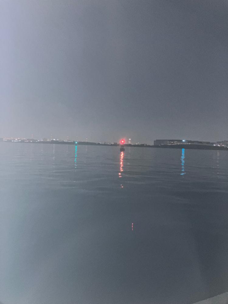 暖かく良い日でした