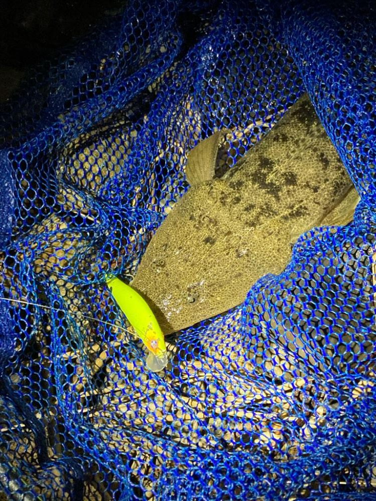 ルアフィッシング