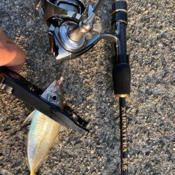 連続デイアジング