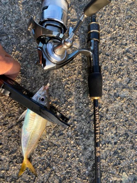 連続デイアジング