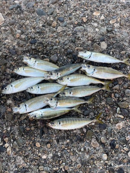 にぎわっていました！