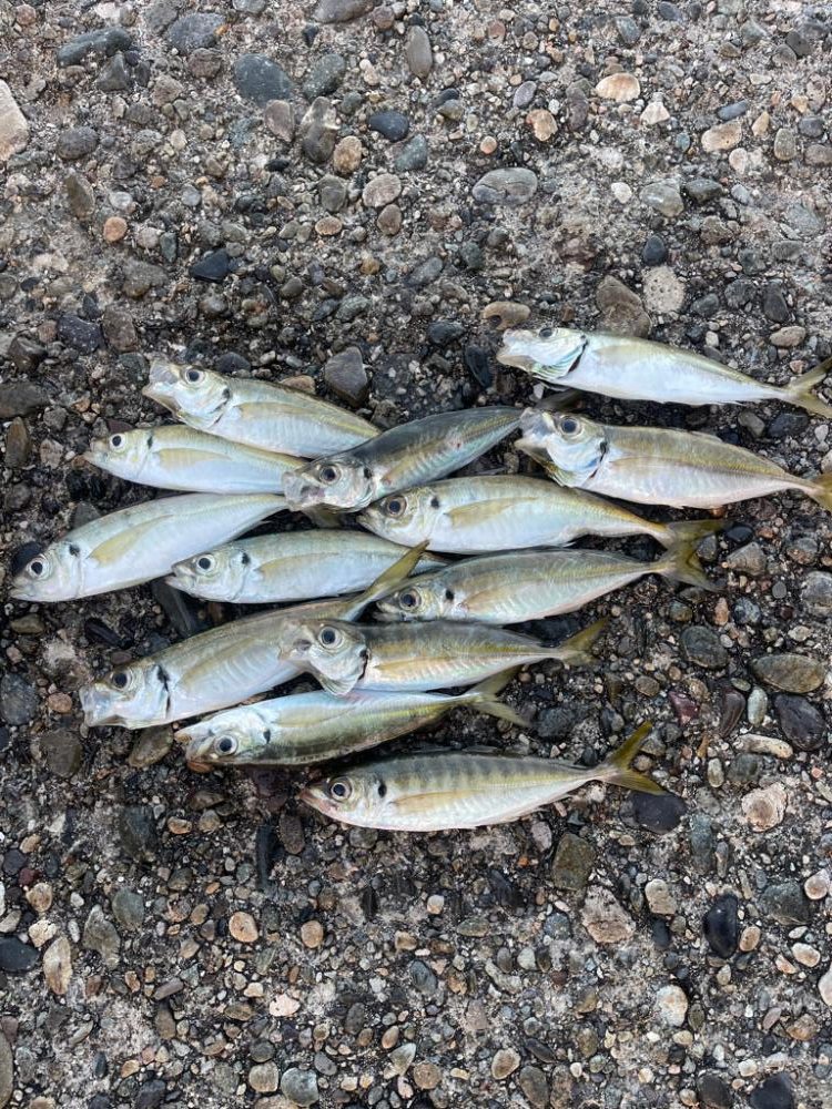 にぎわっていました！