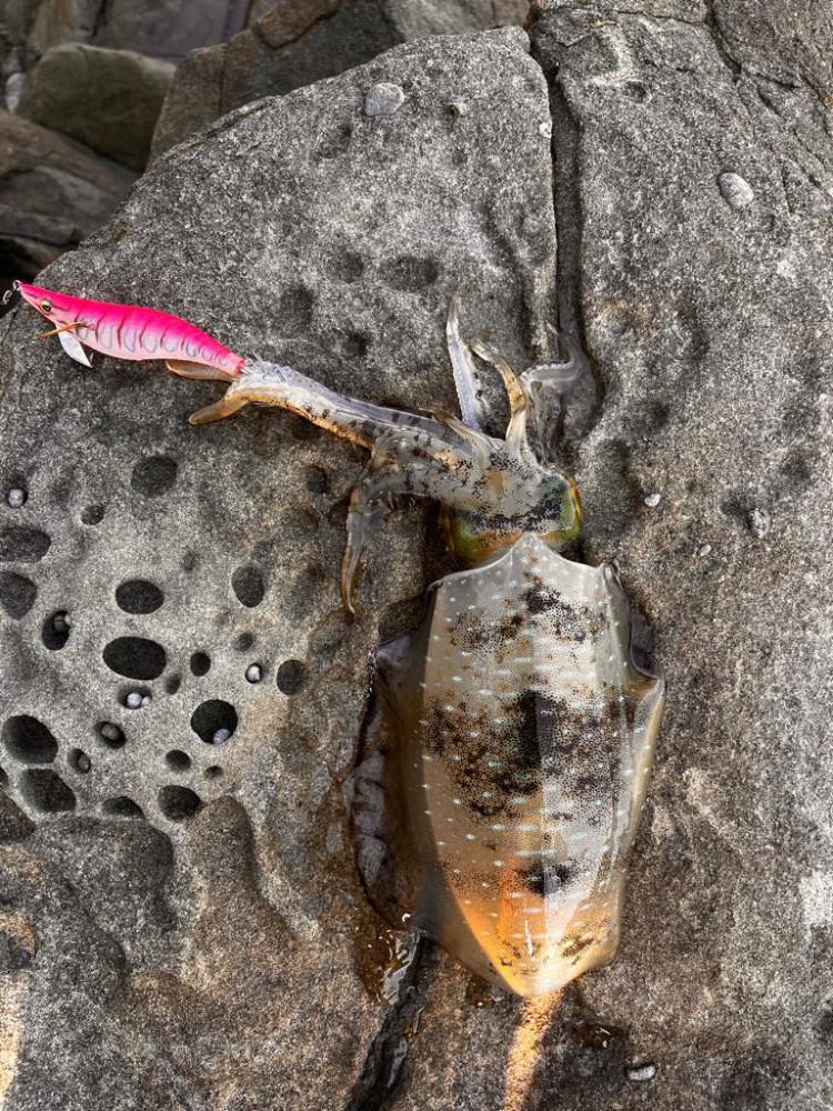 沖の潮目を感じて