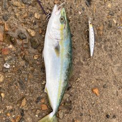 爆風チャレンジ