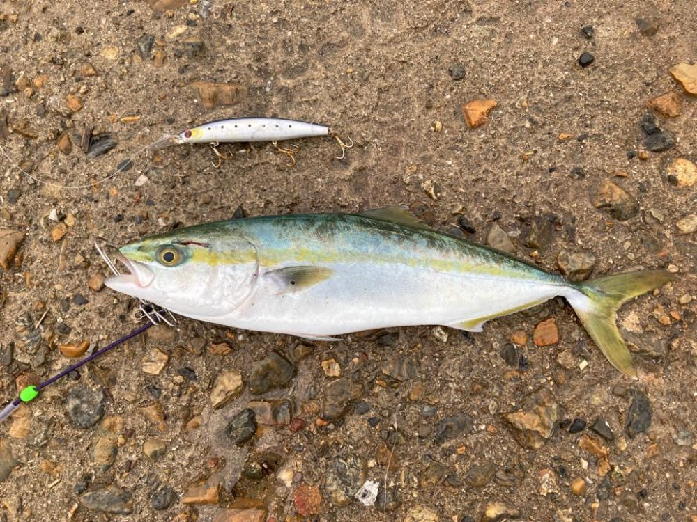 爆風チャレンジ