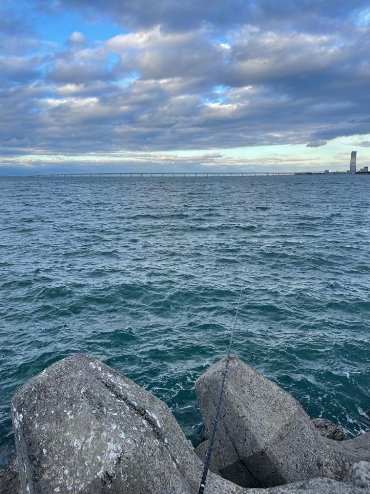 アジ飲ませ釣り🎣でセイゴ