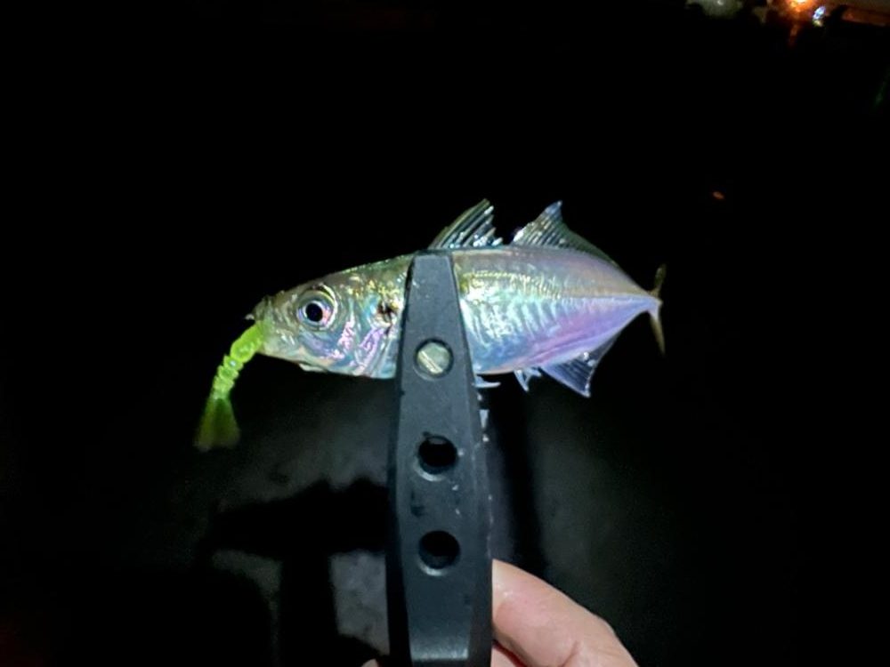 仕事帰りにいつもの