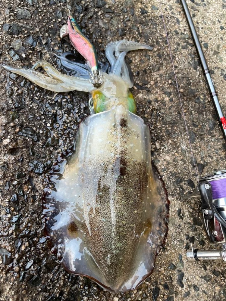 先頭打者初球ボームラン!