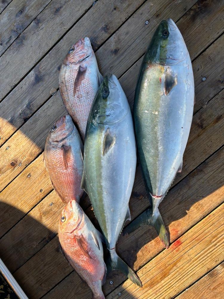 海上釣り堀辨屋