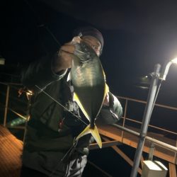 アジングナイトで！