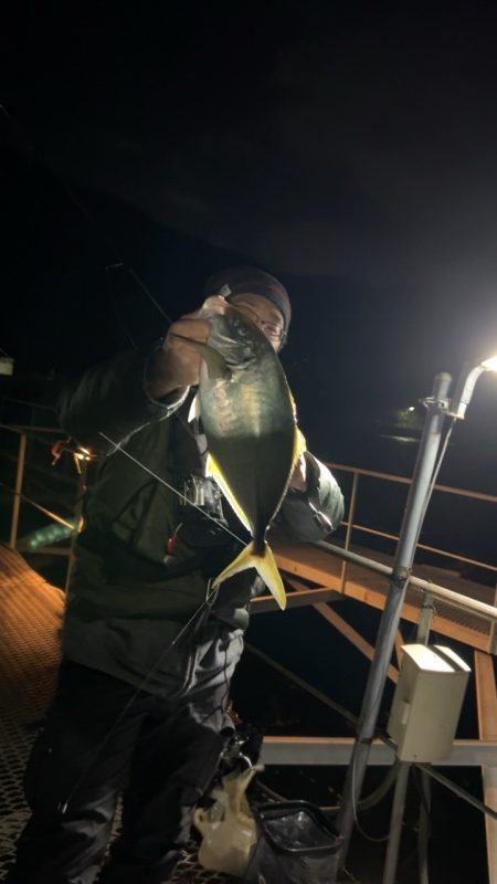 アジングナイトで！