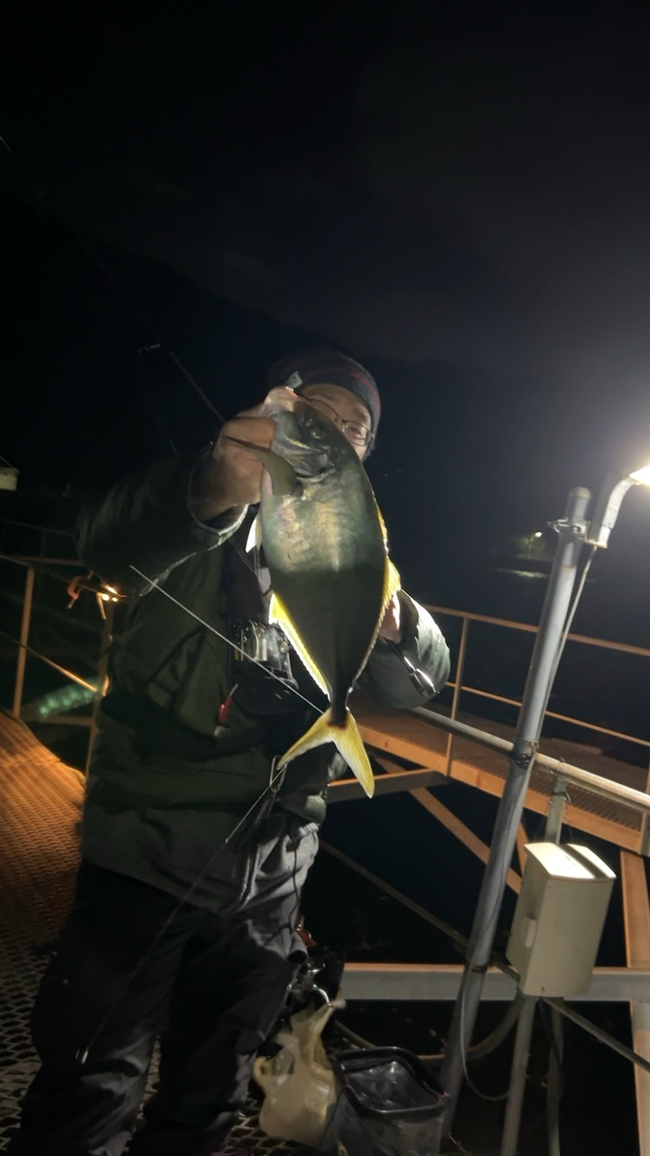 アジングナイトで！