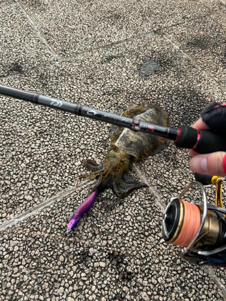 エギングルーティーン！