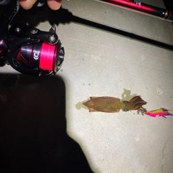 超絶爆風ライトゲーム