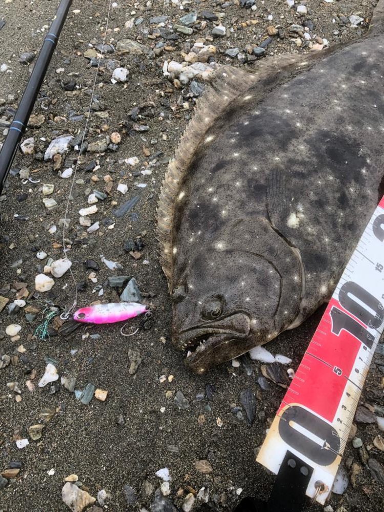 サーフでフラット狙い