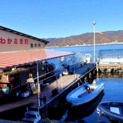 諏訪湖ド－ム船 ワカサギ釣り！