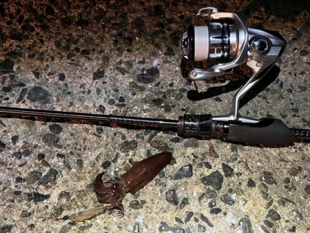 ヒイカ爆釣！の情報で行ってみたが渋い日に当たったみたい・・・