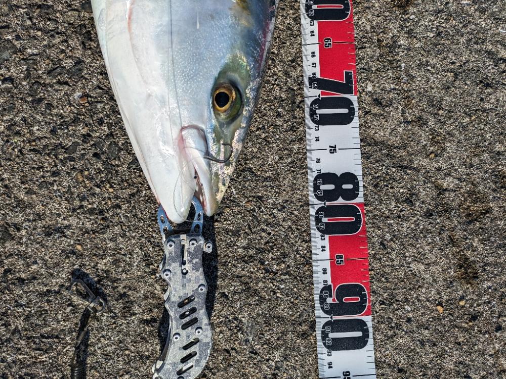 今季初ブリ!!おまけに自己記録更新