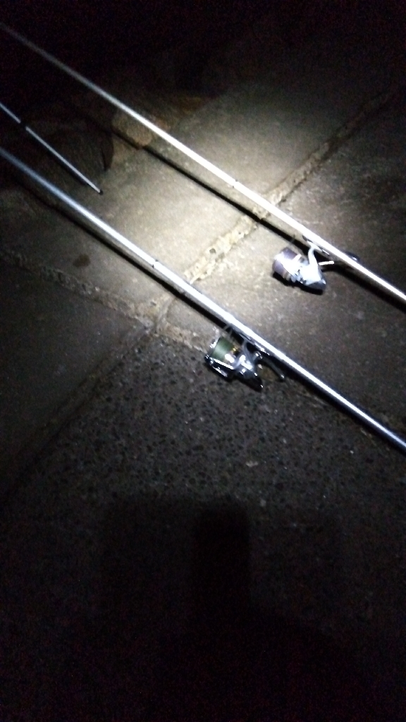 苅屋海岸のキス釣り