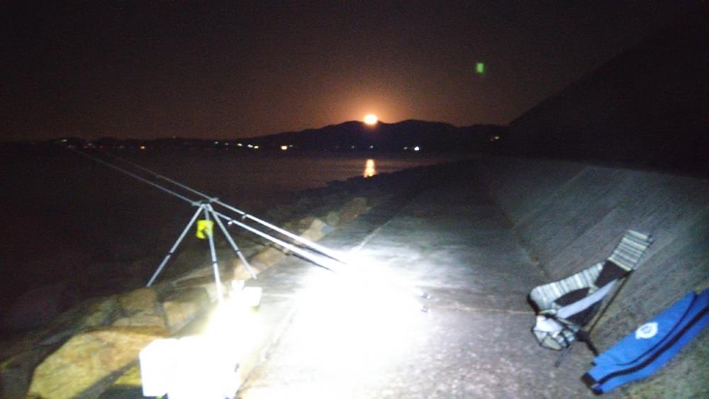 苅屋海岸の投げ釣り