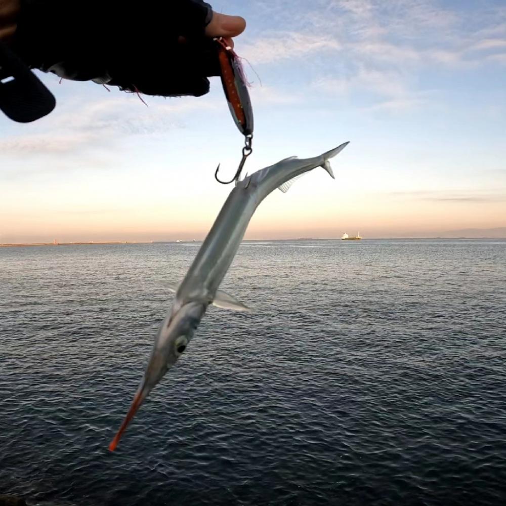 今日も…(꒪⌓꒪)